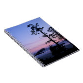 Carnet Amérique du Nord, Canada, île de Vancouver, arbres (Côté Droit)