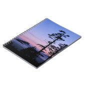 Carnet Amérique du Nord, Canada, île de Vancouver, arbres (Côté gauche)