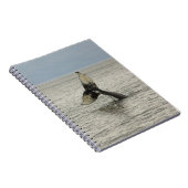 Carnet Amérique du Nord, USA, AK, Passage intérieur. Brou (Côté Droit)