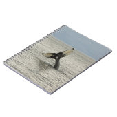 Carnet Amérique du Nord, USA, AK, Passage intérieur. Brou (Côté gauche)