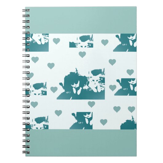 Carnet Amigos Felinos. (Devant)