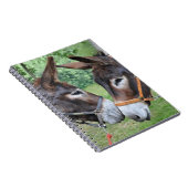 Carnet Amis d'âne (Côté Droit)