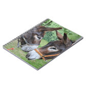 Carnet Amis d'âne (Côté gauche)