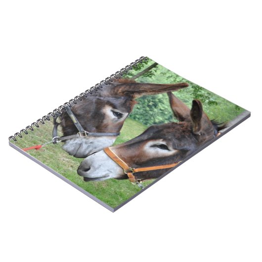 Carnet Amis d'âne (Côté gauche)