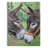 Carnet Amis d'âne (Devant)