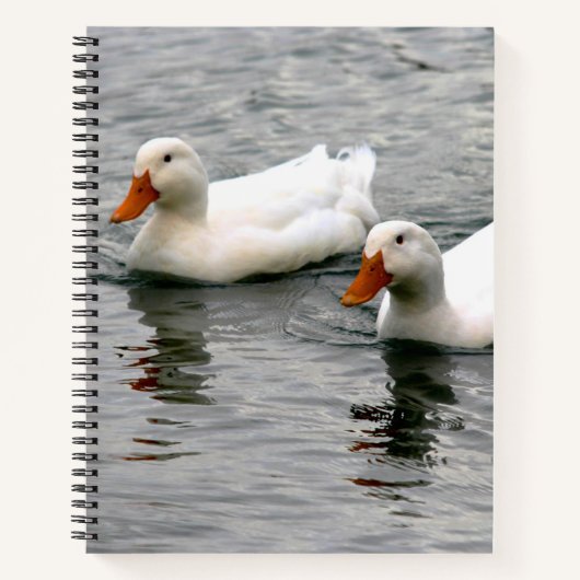Carnet Amis pour la vie (Devant)