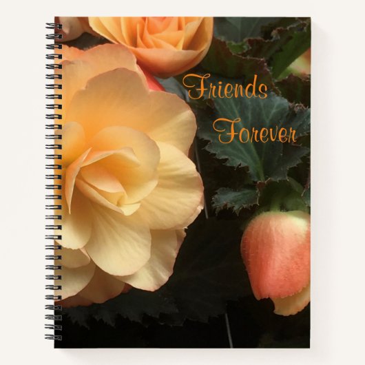 Carnet Amis pour toujours (Devant)