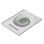 Carnet Ammonite (Côté gauche)
