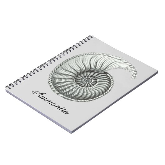 Carnet Ammonite (Côté gauche)