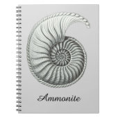 Carnet Ammonite (Devant)