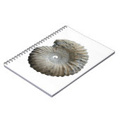 Carnet ammonite (Côté gauche)