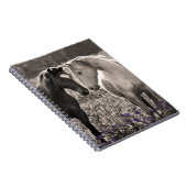 Carnet Amour de cheval (Côté Droit)