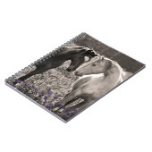 Carnet Amour de cheval (Côté gauche)