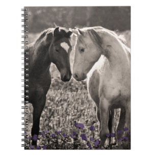 Carnet Amour de cheval