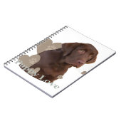 Carnet Amour de chiot de laboratoire de chocolat (Côté gauche)