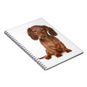 Carnet Amour de chiot teckel (Côté Droit)