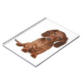 Carnet Amour de chiot teckel (Côté gauche)