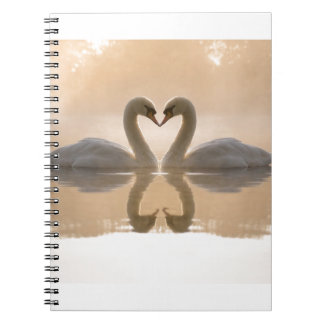 Carnet Amour de cygne
