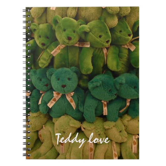 Carnet amour de nounours (Devant)