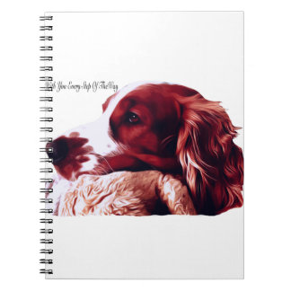 Carnet Amour de springer spaniel de Gallois