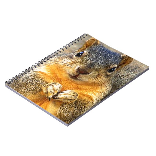 Carnet Amour des écureuils_ (Côté gauche)