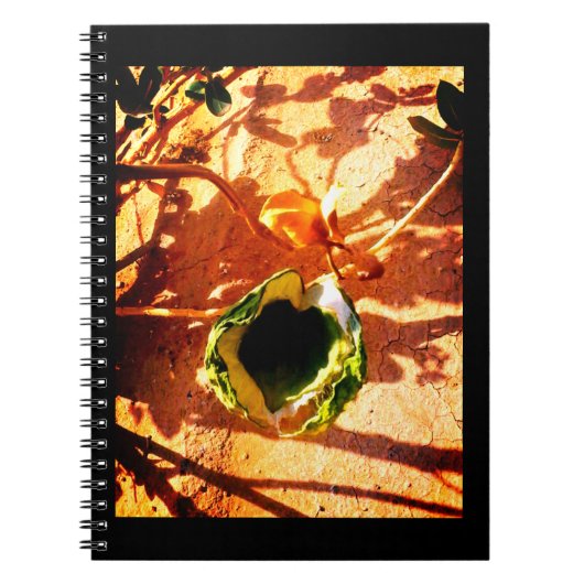 Carnet Amour du désert (Devant)