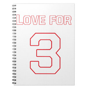 CARNET AMOUR POUR 3
