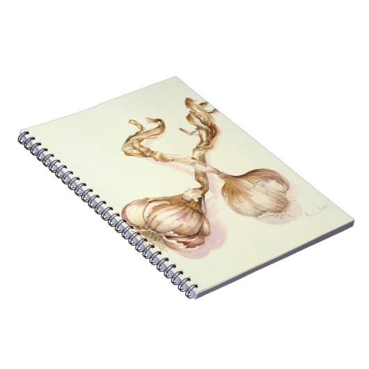 Carnet Ampoules 2005 d'ail (Côté Droit)