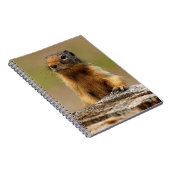 Carnet Amusant Cute Saucy Columbian Ground Squirrel (Côté Droit)