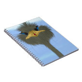 Carnet Amusant Ostrich George Et Mignonne Ladybug (Côté Droit)