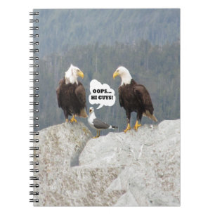 Carnet Amusants aigles et mouettes