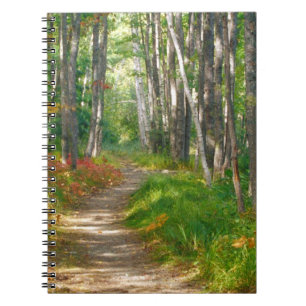 Carnet AN, États-Unis, Maine. Sentier Jessup à Acadia Na
