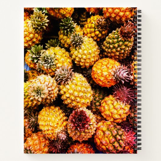 Carnet Ananas (Dos)
