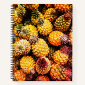 Carnet Ananas (Devant)