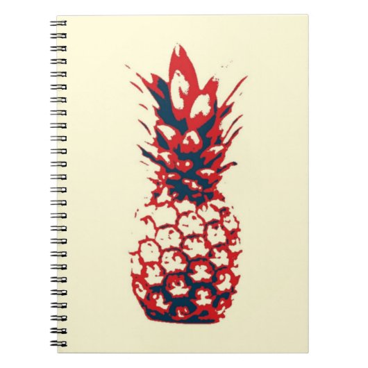 Carnet Ananas (Devant)