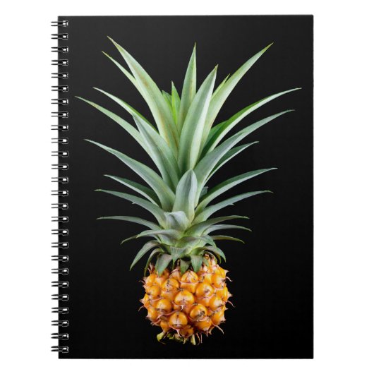 Carnet Ananas avec grande coiffure sur arrière - plan noi (Devant)