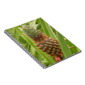 Carnet Ananas sauvage Fruit tropical dans la nature (Côté Droit)