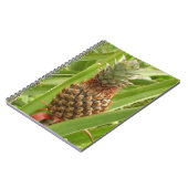 Carnet Ananas sauvage Fruit tropical dans la nature (Côté gauche)