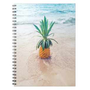 Carnet Ananas sur la plage le matin