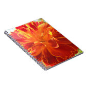 Carnet Anastaise (Côté Droit)