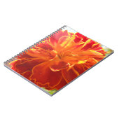 Carnet Anastaise (Côté gauche)