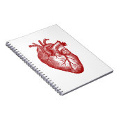 Carnet Anatomie cardiaque vintage (Côté Droit)