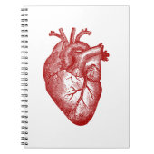 Carnet Anatomie cardiaque vintage (Devant)