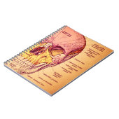 Carnet Anatomie de crâne (Côté gauche)