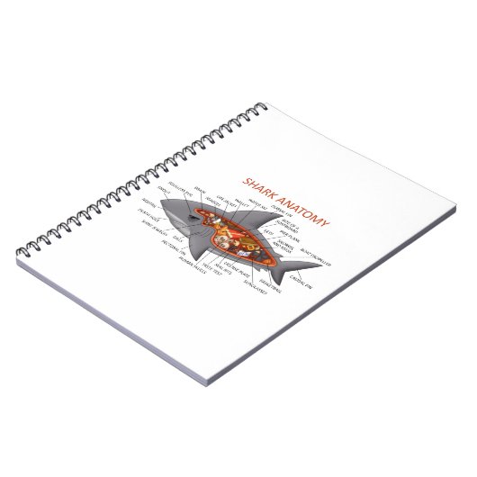 Carnet Anatomie de requin (Côté gauche)