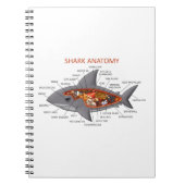 Carnet Anatomie de requin (Devant)