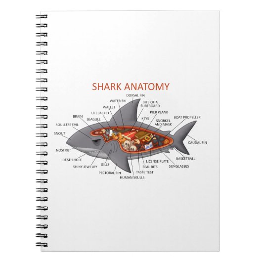 Carnet Anatomie de requin (Devant)