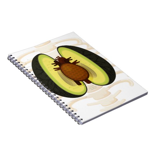 Carnet Anatomie d'un avocat (Côté Droit)