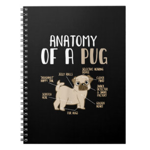 Carnet Anatomie D'Une race Carlin Chien Animaux De Compag