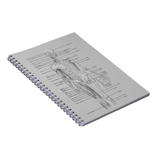 Carnet Anatomie grise (Côté Droit)